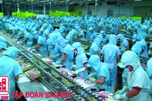 Năm 2016, doanh thu của IDI cán mốc hơn 4.000 tỷ đồng