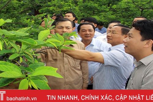 'Mỗi xã, phường một sản phẩm' kinh nghiệm của Quảng Ninh