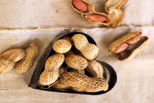 Bài thuốc chữa bệnh an toàn hiệu quả từ hạt lạc