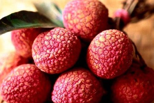 Những rau quả nếu bảo quản trong tủ lạnh sai cách sẽ rước họa vào thân