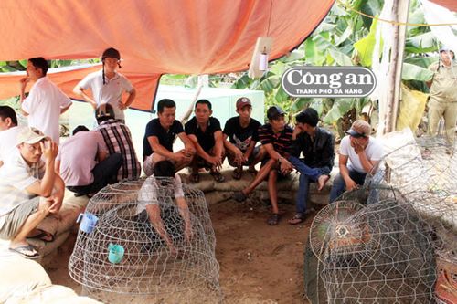 Trấn áp quyết liệt tội phạm về cờ bạc