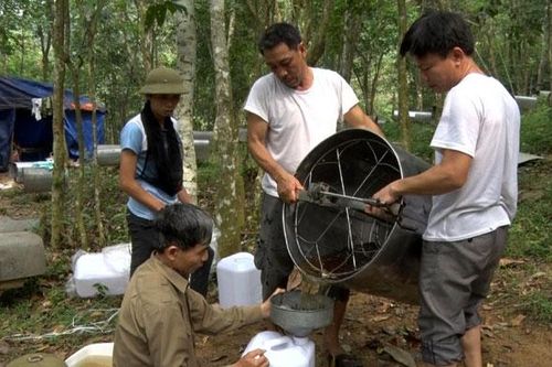 Ba Vì phát triển nghề nuôi ong mật