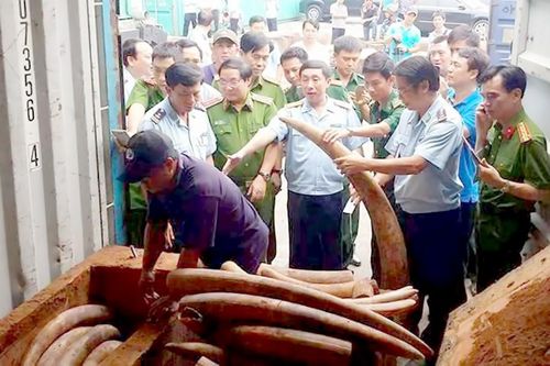 Chống hàng lậu, gian lận thương mại: Lắm phức tạp, nhiều gian nan