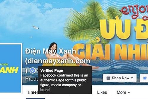 'Nhái' Fanpage Điện máy Xanh, dở chiêu lừa gạt khách hàng
