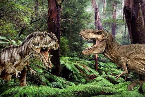 Kịch chiến khủng long bạo chúa T-rex và Giganotosaurus, con nào sẽ thắng?