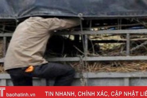 Tài xế tóm gọn 'con nghiện' leo lên xe tải trộm điện thoại