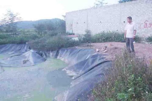 Bé gái 9 tuổi rơi xuống hố biogas tử vong