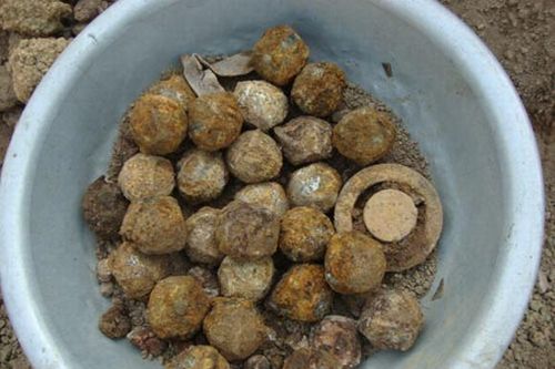 Phát hiện hàng trăm quả bom bi dưới ruộng lúa ở Nghệ An