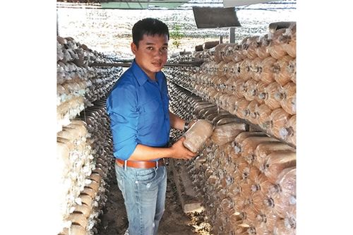 Nông dân trẻ vượt khó làm giàu