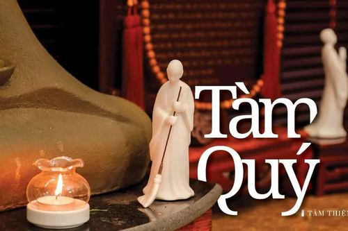 Tàm quý