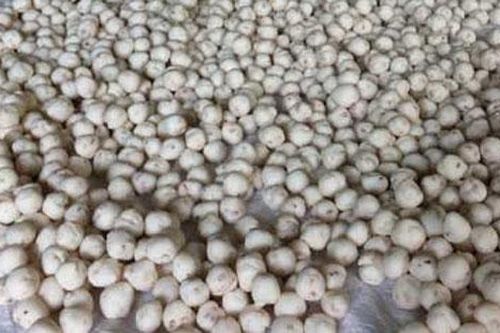 TP Vinh: Phát hiện, thu giữ hơn 2 tấn thực phẩm