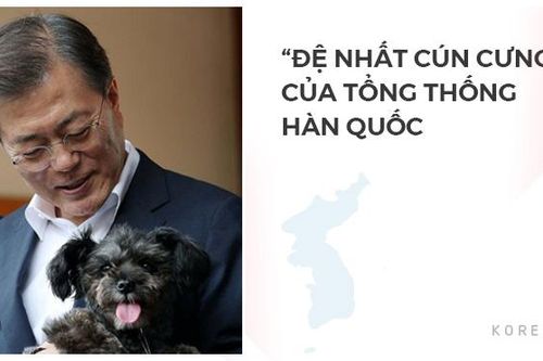 Chú chó được giải cứu trở thành 'Đệ nhất cún cưng' của Tổng thống Hàn Quốc