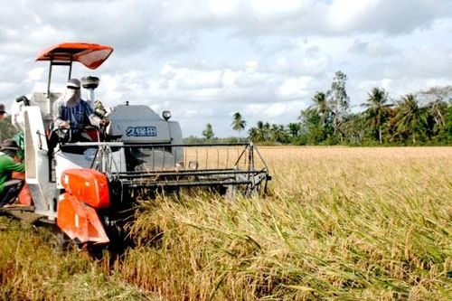 Tăng cường hợp tác bảo đảm an ninh lương thực trong APEC