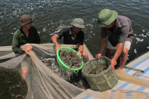 Đường dây nóng bảo vệ nguồn lợi thủy sản