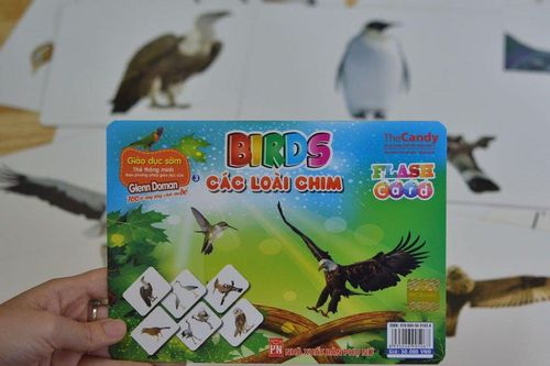 Mẹo hay đánh thức khả năng ngôn ngữ ở trẻ dưới 6 tuổi