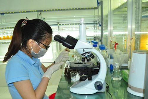 Địa chỉ cung cấp tôm giống uy tín ở Nghệ An