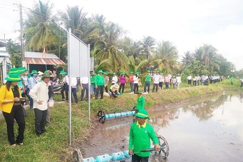 Đổi mới phương pháp canh tác, tăng lợi nhuận cho người trồng lúa