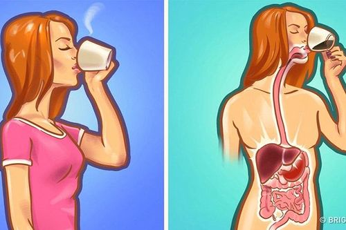 Đừng lên giường khi bụng đói