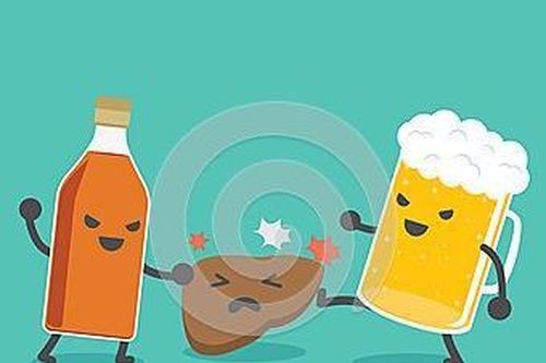 Rượu hủy hoại gan như thế nào?
