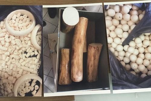 Cận cảnh số lượng lớn ngà voi giả được cán bộ Hải quan đánh tráo