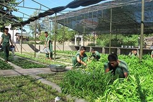 Tận dụng hiệu quả quỹ đất