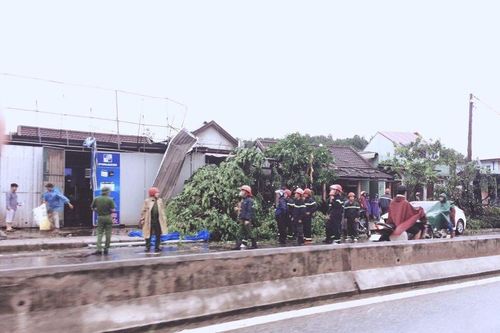 Bão số 10 tàn phá Thừa - Thiên Huế: Hàng trăm nhà dân tan hoang, cây bị quật đổ ngang thân