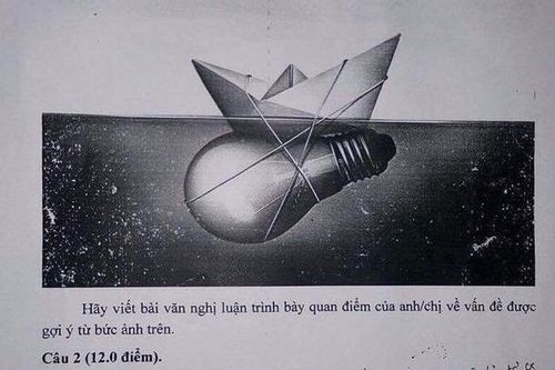 Đề thi chọn đội tuyển học sinh giỏi Văn quốc gia gây tranh cãi