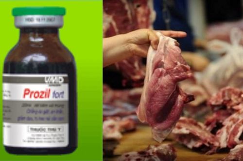 Cách nhận biết thịt lợn tiêm thuốc an thần