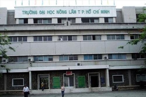 Nhiều sai phạm tại Đại học Nông Lâm TPHCM