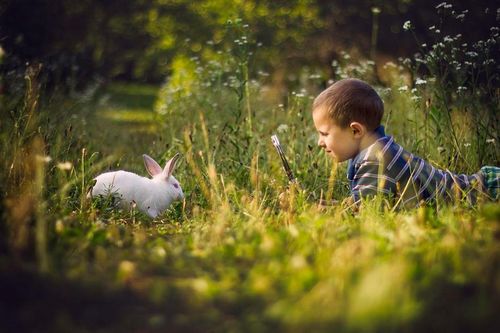 Nỗi khổ của người bị chê 'chụp ảnh đẹp nhờ máy đắt tiền'