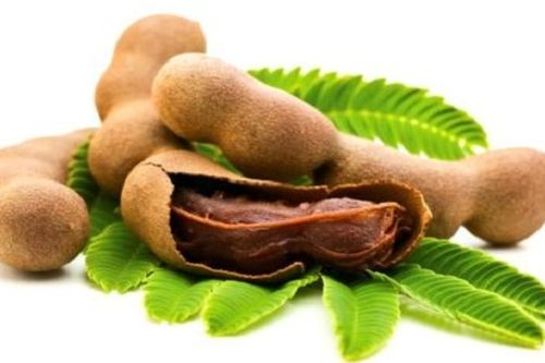 Quả me có tác dụng với sức khỏe như thế nào?