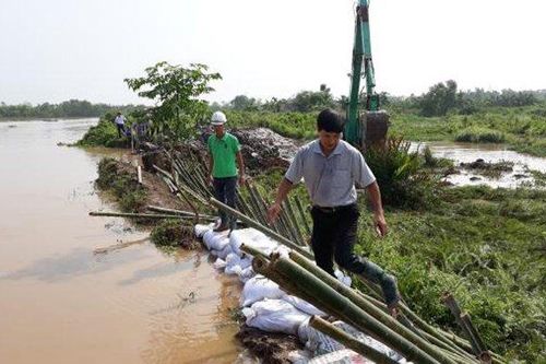 Hải Phòng vỡ 50m đê bao trong đợt mưa lũ lịch sử