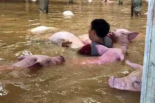 Các doanh nhân chung tay ủng hộ đồng bào bị lũ lụt ở Thanh Hóa