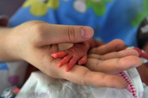 Bé gái sơ sinh 1,5 kg được cứu sống khi bị kiến bu khắp người
