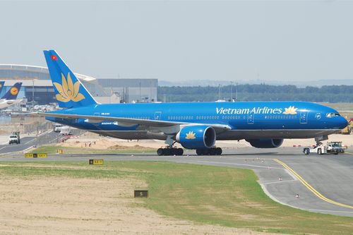 Hy hữu: Máy bay Vietnam Airlines bị delay vì 3 con chó bất ngờ xâm nhập đường băng