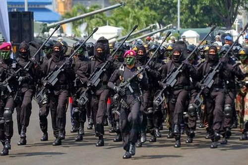 Bất ngờ lô súng 'khủng' Lào muốn mua từ Indonesia