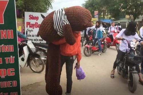 Chàng trai ôm gấu 'khủng' tỏ tình phải đứng bơ vơ khi cô gái vừa xuất hiện