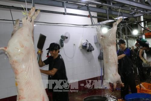 Rà soát, chấn chỉnh việc quản lý, kiểm soát giết mổ tại các lò mổ