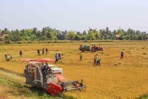 Khánh Hòa: Quỹ hỗ trợ chậm triển khai, hợp tác xã khát vốn