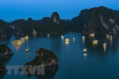 Đình chỉ hoạt động các tàu trên vịnh Hạ Long không đảm bảo an toàn