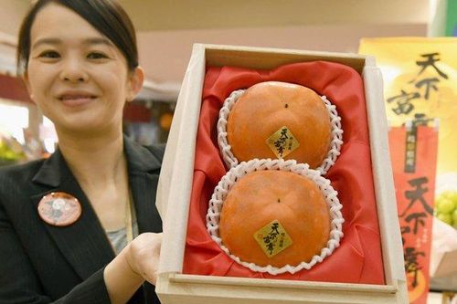 Cận cảnh quả hồng Nhật giá 50 triệu đồng, được tuyển lựa... kỹ hơn hoa hậu