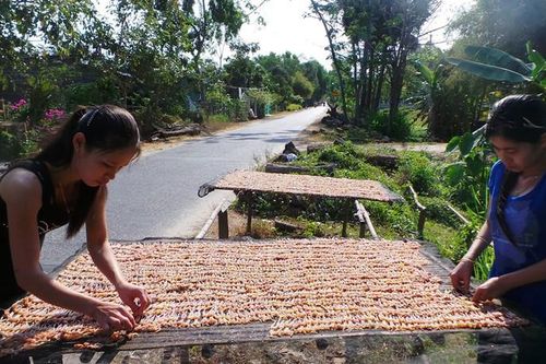 Về chợ 'vũ nữ chân dài' ở An Giang mùa nước nổi
