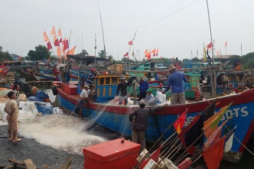 TPHCM cho phép tàu thuyền ra khơi sau bão Damrey