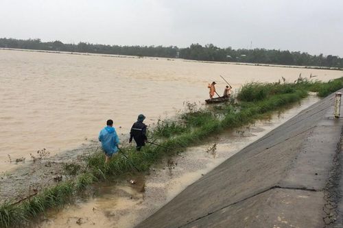 Người dân Đà Nẵng đổ xô ra đồng bắt chuột để lĩnh thưởng