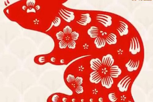 Xem tử vi người tuổi Tý năm 2018 qua từng tháng sinh âm lịch