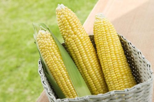 Bất ngờ trị bệnh hiệu quả bằng rau củ quả luộc