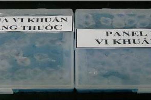 Hoàn thiện công nghệ sản xuất kit chẩn đoán lao và lao kháng thuốc