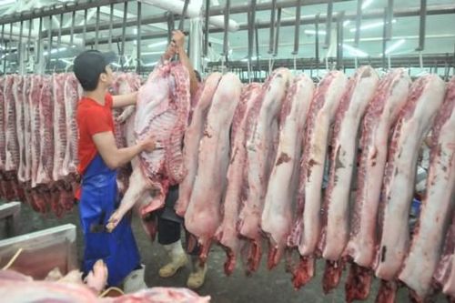 Một số nhà máy giết mổ gia súc hiện đại hoạt động trong quý 1-2018