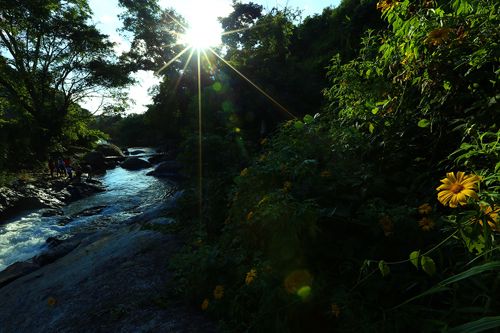 Ngỡ ngàng khám phá vẻ đẹp hoang sơ nơi núi rừng Tây Bắc