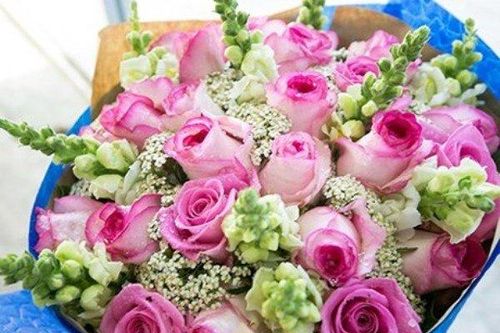 Gợi ý quà tặng ngày Nhà giáo Việt Nam 20/11 ý nghĩa và vô cùng độc đáo